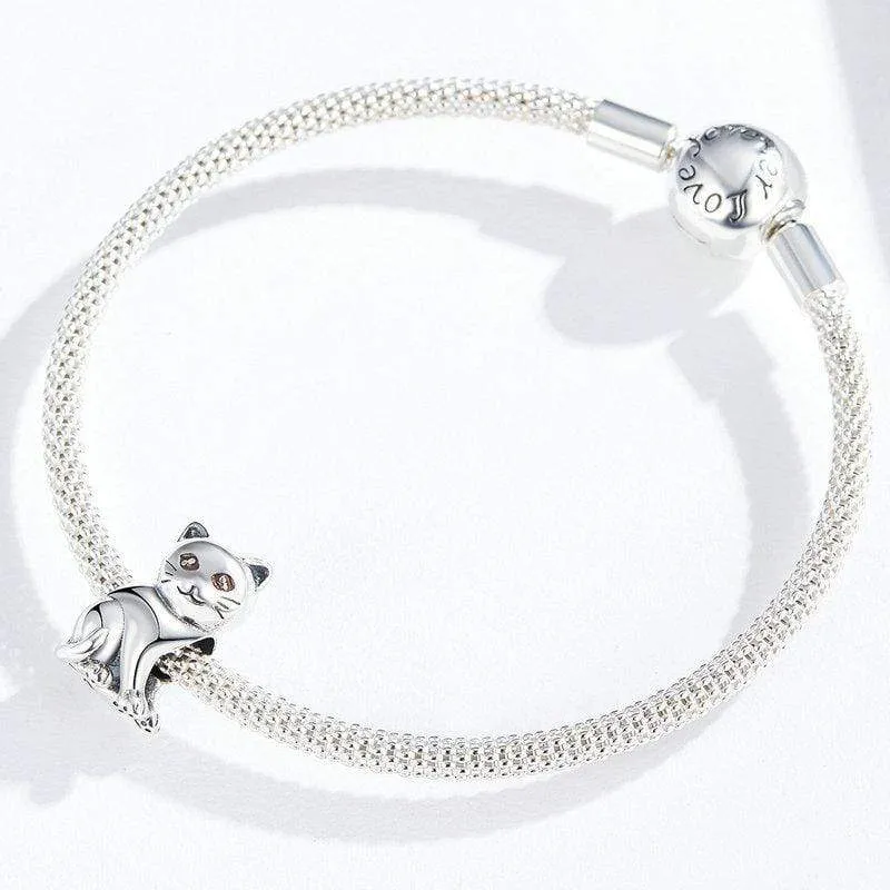 Cat Charm
