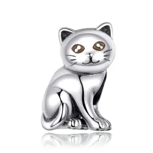 Cat Charm