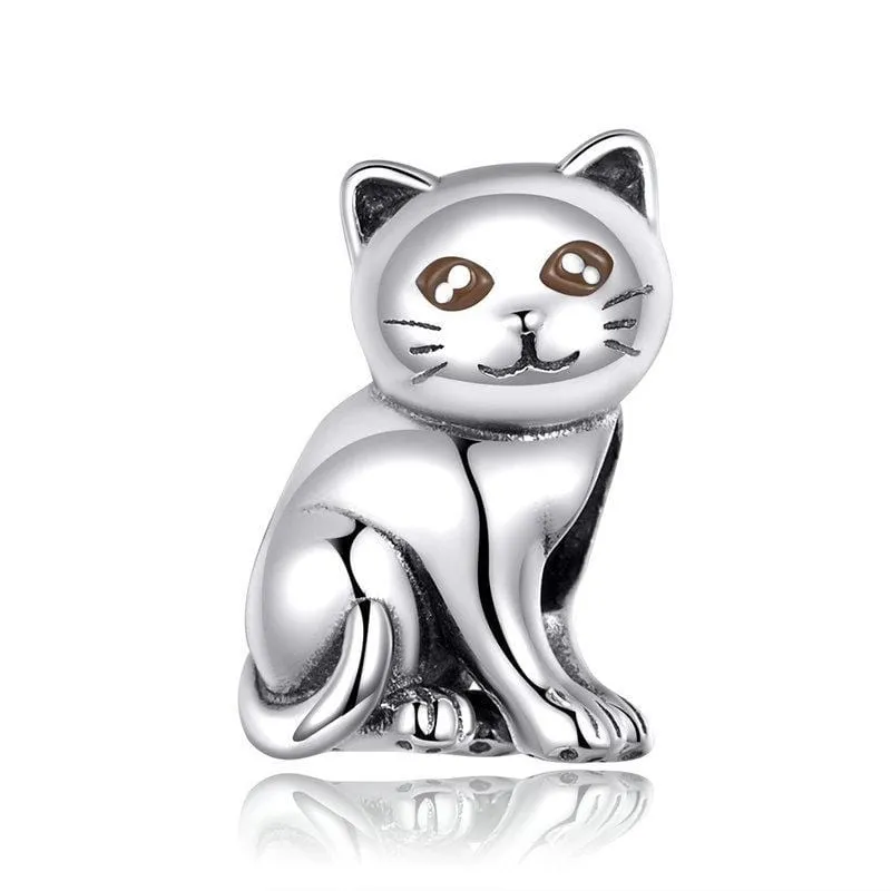 Cat Charm