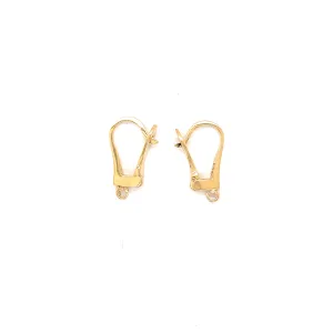 H0014 - Hinged Hoop Earrings