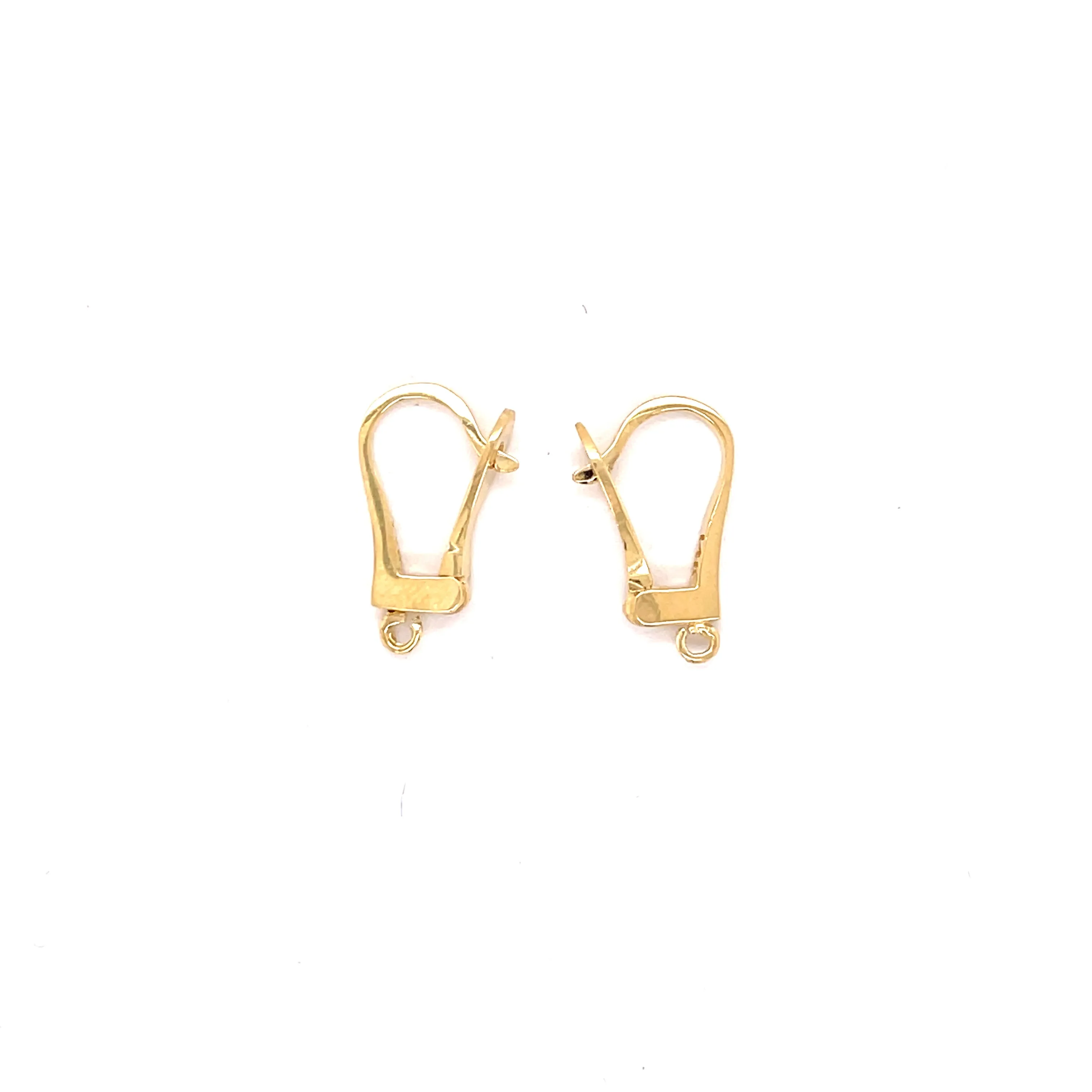 H0014 - Hinged Hoop Earrings