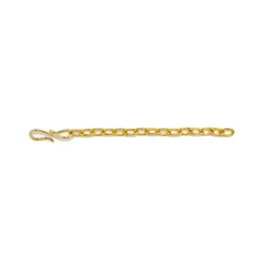Lizzie Fortunato 6.5 Inch Necklace Extender