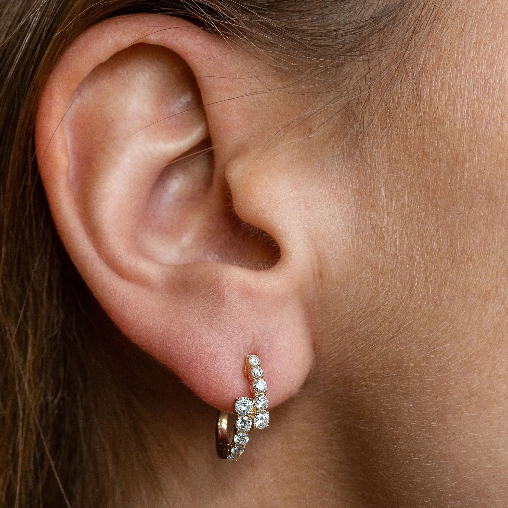 Myer Graduated Hoop Earrings