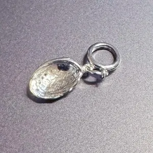 NZ Sterling Silver Paua Shell Charm