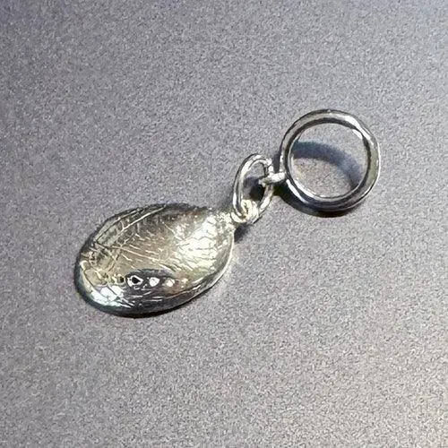 NZ Sterling Silver Paua Shell Charm