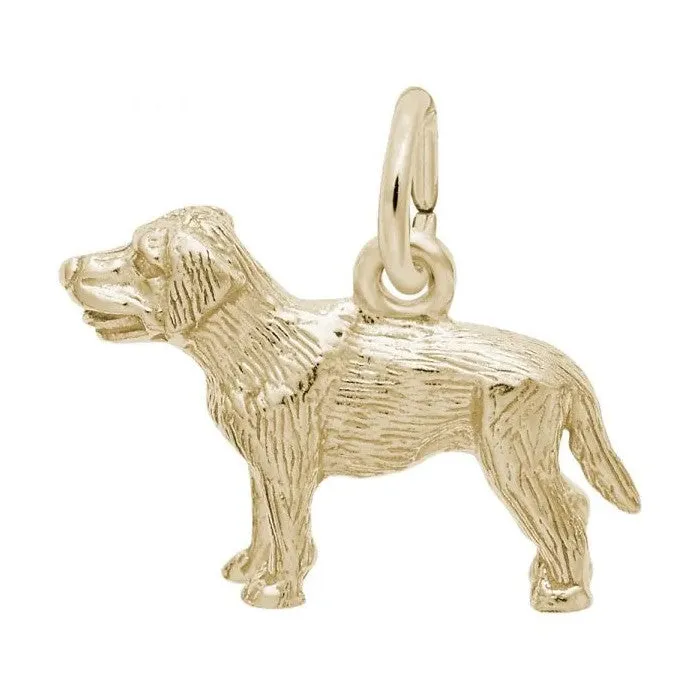Rembrandt Charm Sterling Silver Rhodium or Gold Plated Labrador Dog Pendant