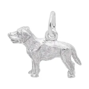 Rembrandt Charm Sterling Silver Rhodium or Gold Plated Labrador Dog Pendant