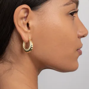 Shrimp Shell Hoop Earrings - 18K Gold Vermeil