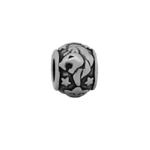 Stainless Steel Leo Charm